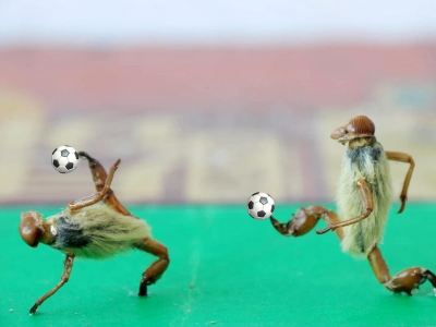 �á����暤�������籭 �ΑB(t��i)�������˷Q��