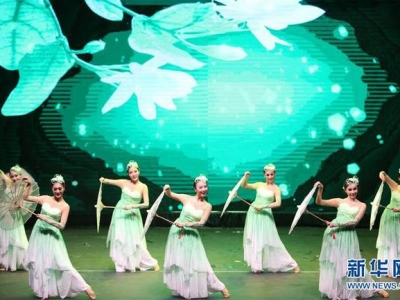 ������������(ji��)���������Ї�(gu��)���ăx�V������ˇ�ݳ�����