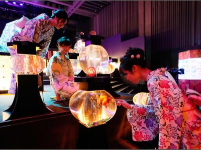 �ձ����ü�(j��)���~(y��)ˇ�g(sh��)չ �\�[����������(m��ng)��