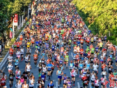 2019�V���R����ِ�Q���_��