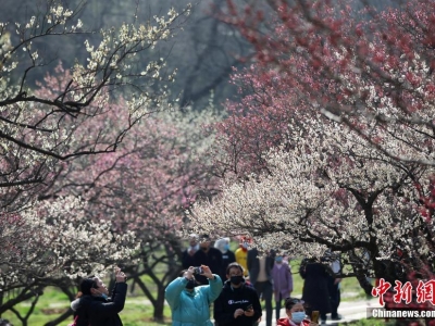 �Ͼ��|��÷�����G���́�