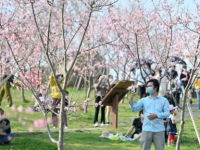 ����r��ʢ�_   ���������ο��v���^��