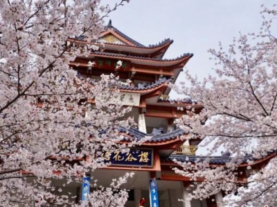 �o�a�x�^侙ѻ��M(j��n)������^�p�� ���˸�������֮�s��