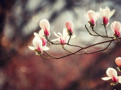 ���m���Π��� ����ѩ��֦�^