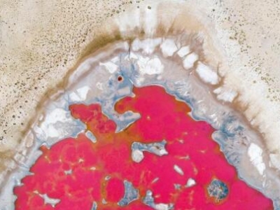 ��(n��i)�ɹŸ���?q��ng)D���Ђ�(g��)����Ů�ġ� ���G��Į�L(f��ng)��