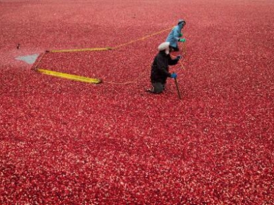 С�M���S���� ���[����(gu��)�S��ʢ���M��ϲ��