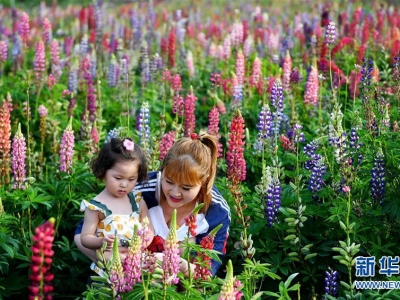 ���̫�ף����_���́�